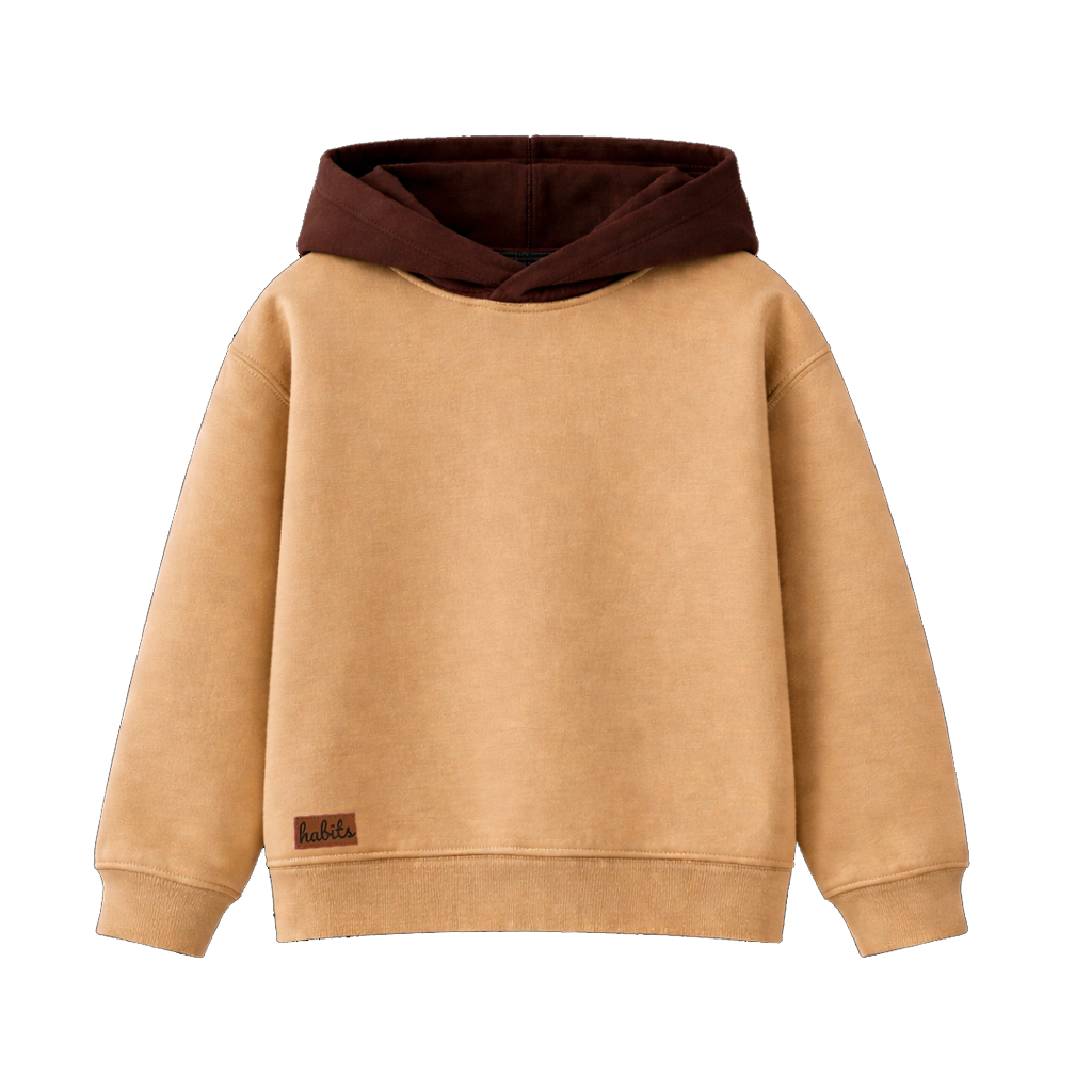 Two-Tone Plain Oversized Hoodie